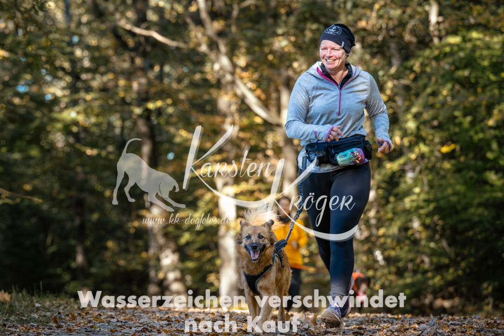 1137_ZZ92912 | kk-dogfotos