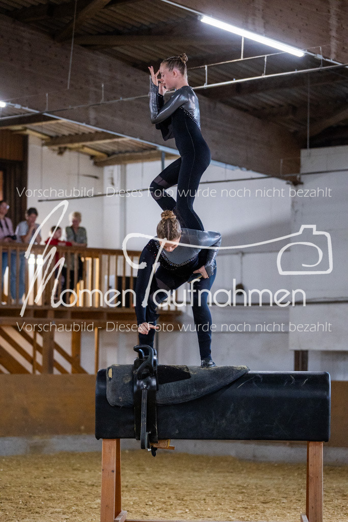 Holzpferd-037 | MomenTaufnahmen Pferdesportfotos