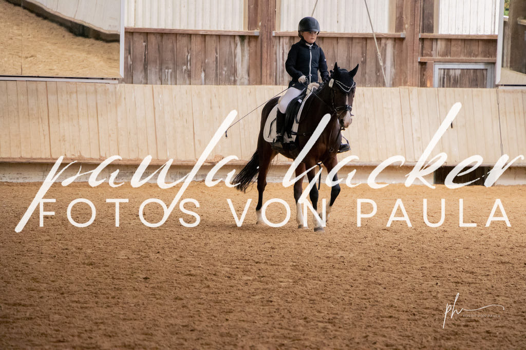 IMG_4708 | Erleben Sie dynamische Sport- und emotionale Tierfotografie in Süddeutschland mit Fotos von Paula. Spezialisiert auf Pferde- und Hundefotografie sowie Sportevents. Kontaktieren Sie mich für einzigartige und ausdrucksstarke Bilder Ihrer besonderen Momente. - Realisiert mit Pictrs.com