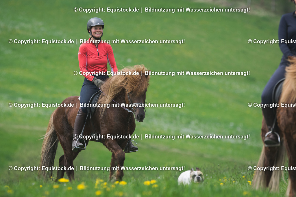 TS_20170415_Isl__nder_Ausritt_0006 1 | Foto: Thomas Hartig