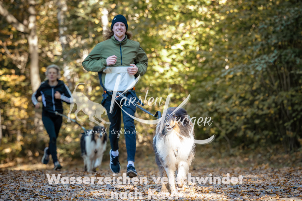 1034_ZZ90252 | kk-dogfotos