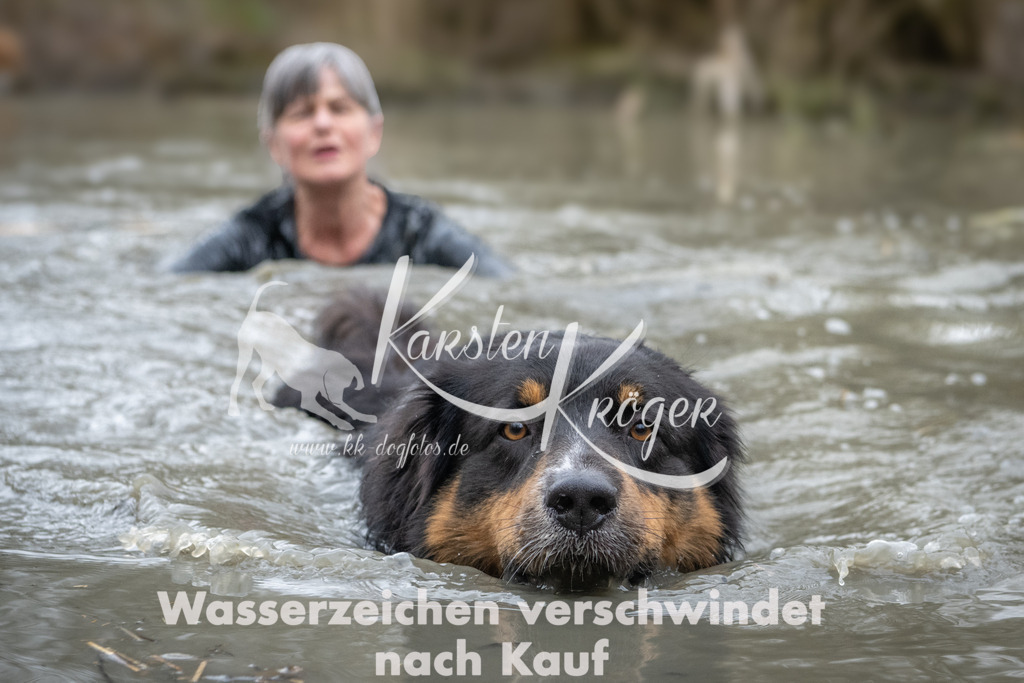 1101_ZZ94843 | kk-dogfotos