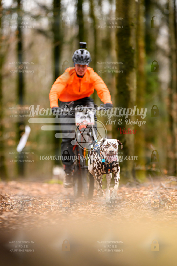 MompixPhotography_Habay2024_SA_Bike-86 | mompixphotography