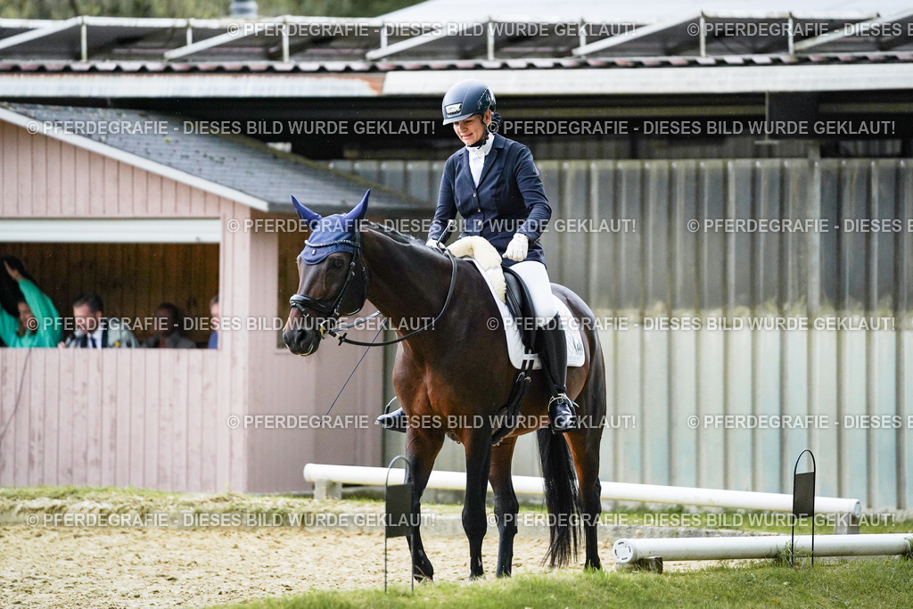 DSC00115 | Pferdegrafie