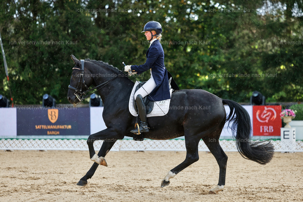 10-033-ST.GEORG SPECIAL -StoibPH-3138 | working equitationturnier fotograf videograf stoibphotography marixx film working equitation deutschland reitsport turnierfotografie eventfotografie equestrian events