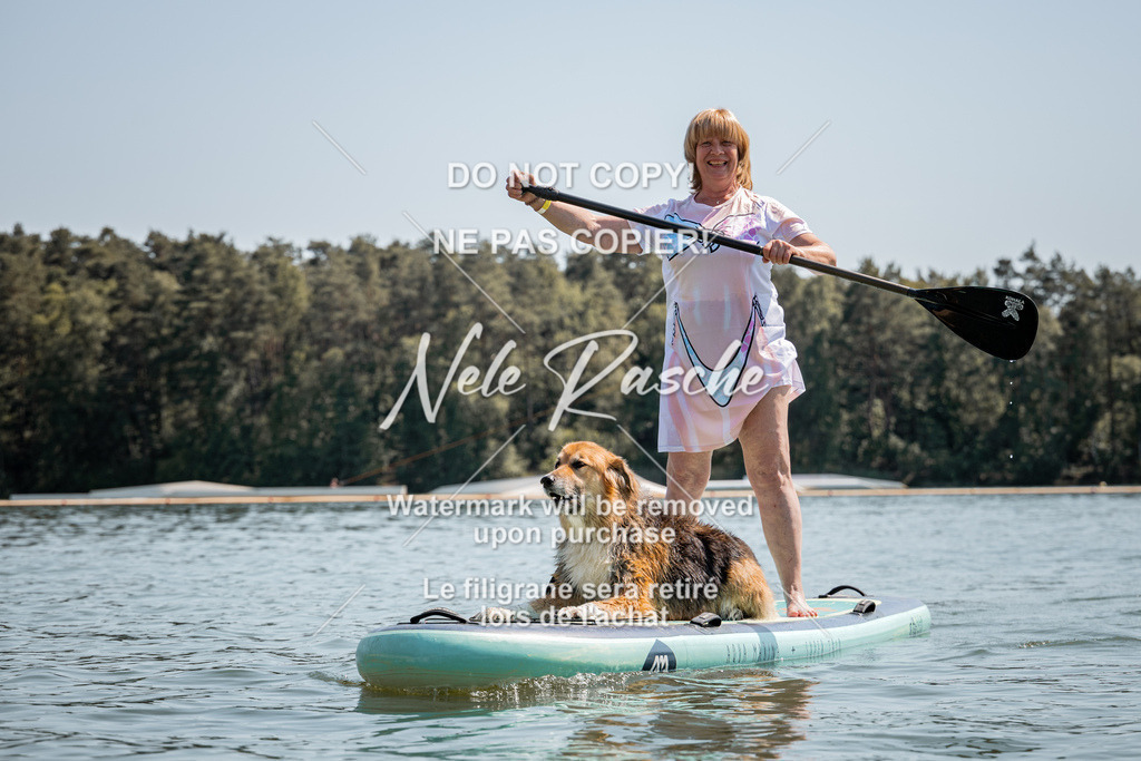nelerasche_saSUP3_68 | nelerasche