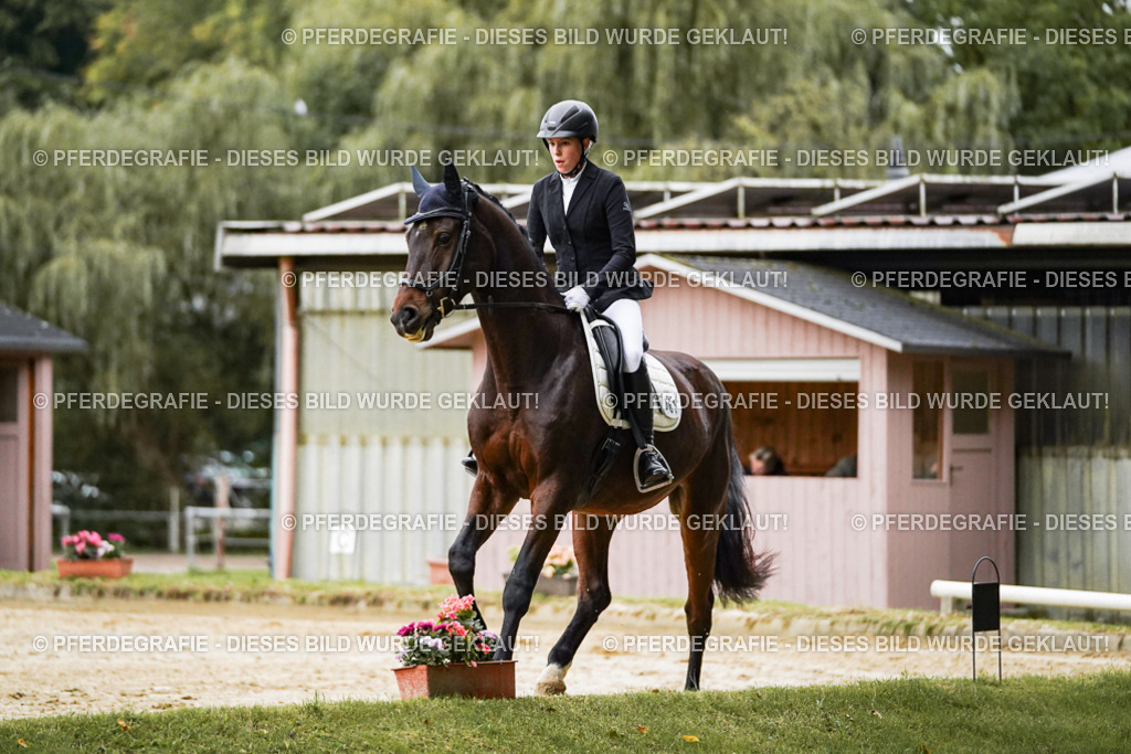 DSC06371 | Pferdegrafie