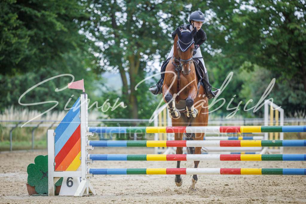 20260705-_3LI6294 | Tierfotografie Pferde, Hunde, Katzen, Haustiere.
Turnierfotografie Reitturniere, Reiten, Springreiten, Dressur in Hanau, dem Main-Kinzig-Kreis und dem Rhein-Main- Gebiet um Frankfurt