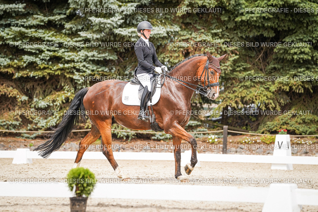 DSC06472 | Pferdegrafie