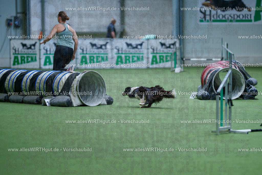 @allesWIRTHgut_Tierfotografie - www.allesWIRTHgut.de - 2604251119-7R500242 | Professionelle Tierfotografie in Mönchengladbach von Daniel Wirth (allesWIRTHgut). Liebevolle & natürliche Bilder von Hunden & Katzen für unvergessliche Erinnerungen.