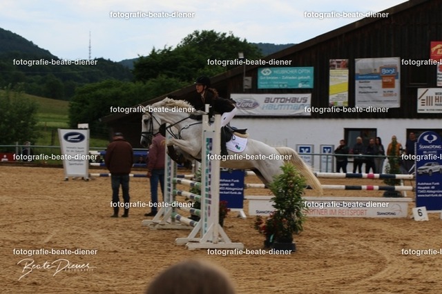 OHT1421 | Fotografie, Tiere, Hunde, Katzen, Pferde, Sportfotografie, Fotosession, Tierfotografie, Turnierfotografie, Fotografin, Fotograf - Realisiert mit Pictrs.com