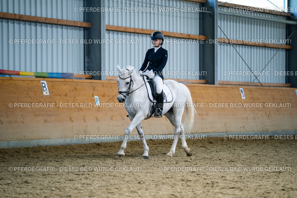 DSC05530 | Pferdegrafie