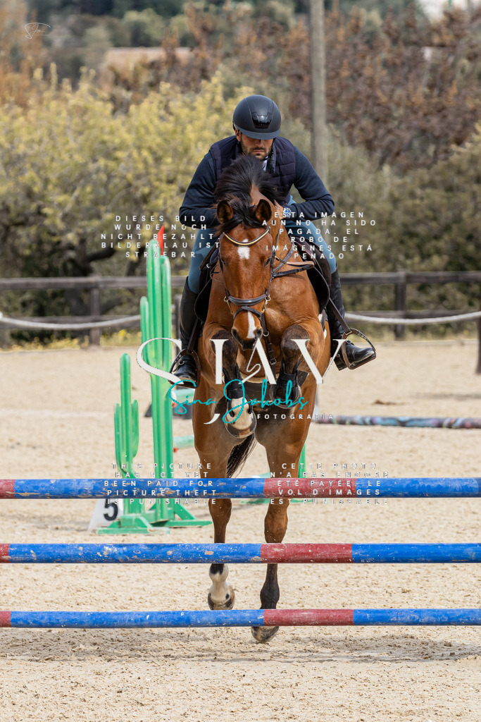 IMG_3766 | s-jay-photography - Realisiert mit Pictrs.com