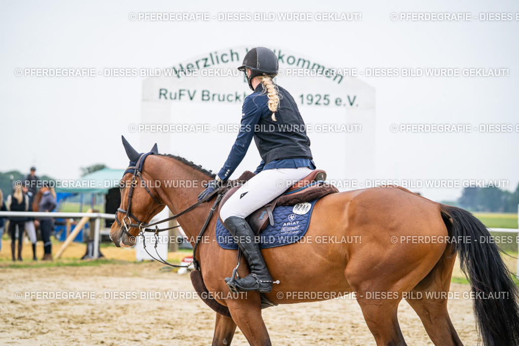 DSC09838 | Pferdegrafie