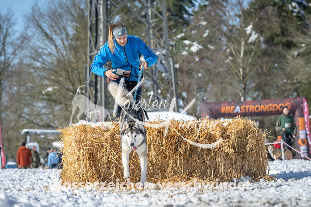 1149_ZZ91270-4 | kk-dogfotos