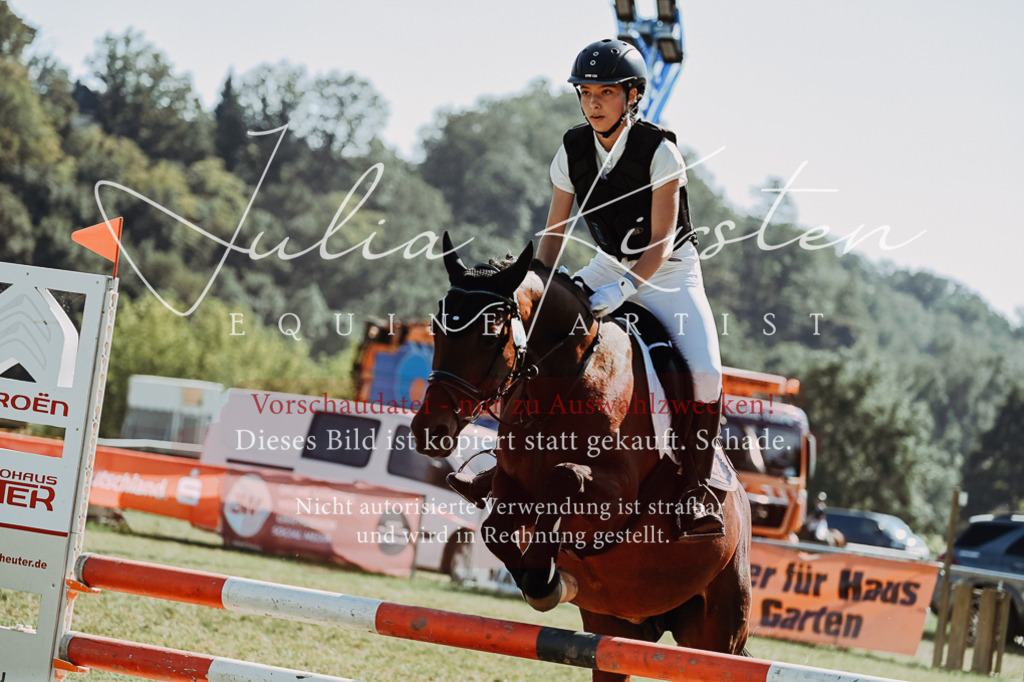 DSC_6815 | Pferde- und Turnierfotografie in Westsachsen. Pferdeportraits, Auftragszeichnungen und intuitive Kunst.