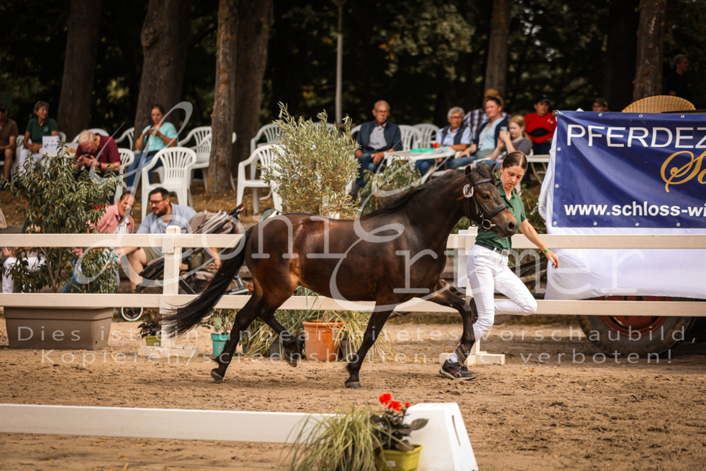 03.So00108 | Leoni Ertmer Photography - Realisiert mit Pictrs.com