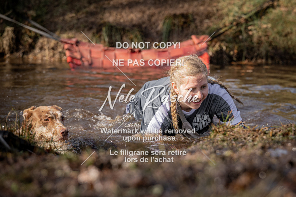 nelerasche_FS1330-1400_359 | nelerasche