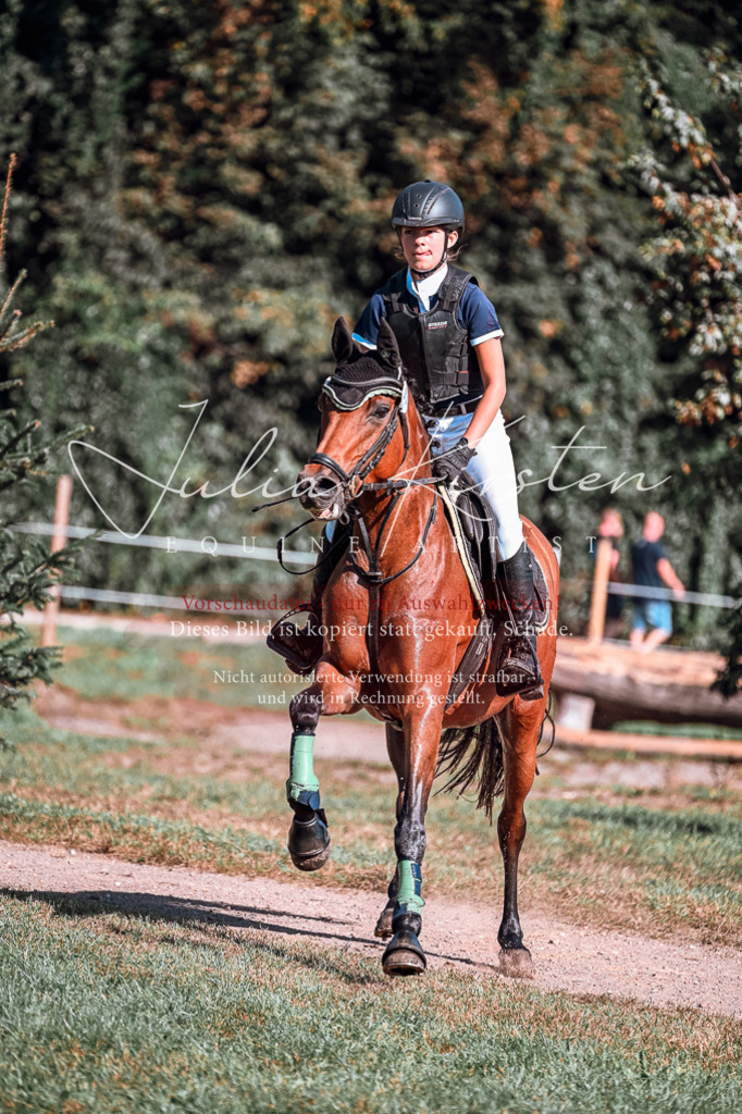 DSC_0979 | Pferde- und Turnierfotografie in Westsachsen. Pferdeportraits, Auftragszeichnungen und intuitive Kunst.