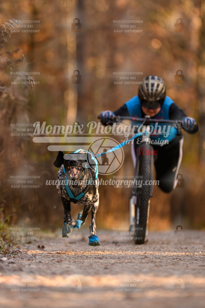 MompixPhotography_DM_AKDM_SO_2025_Scooter-86 | PayLife