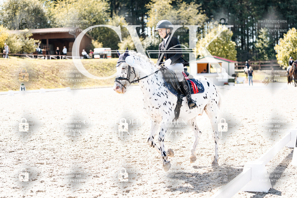 CK904216 | Turnierfotografie Pferdefotografie Trier Rheinland-Pfalz Pferdesport Reitsport Tierfotografie Sportfotografie Pferdevideo Pferdevideografie Equestrianvideography equestrianphotography  - Realisiert mit Pictrs.com