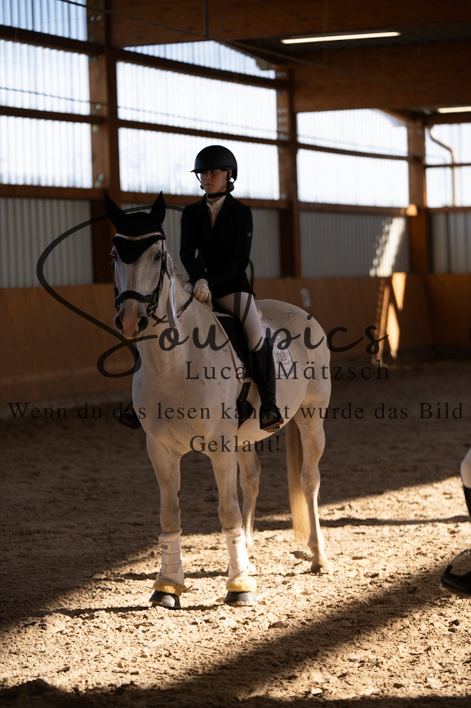 A7V01811 | Turnier/Reitfotograf