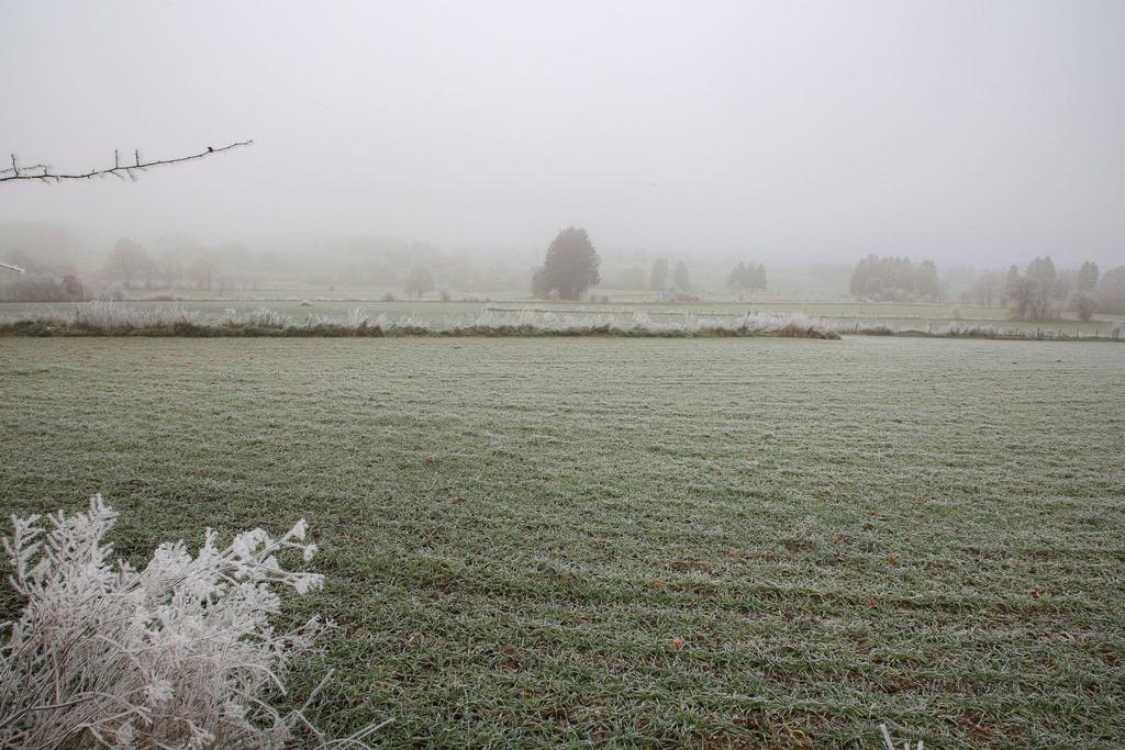 Raureif_Weisten_101222_22 | Bildergalerie von Sport-Ereignissen aber auch von weiteren spannenden Dingen - nicht nur vom Niederrhein. In Anlehnung an den bekannten Spruch von Hanns Dieter Hüsch heißt das Motto: "Niederrhein ist überall".  - Realisiert mit Pictrs.com