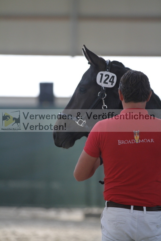 _MG_9652 | equestrian-live-com