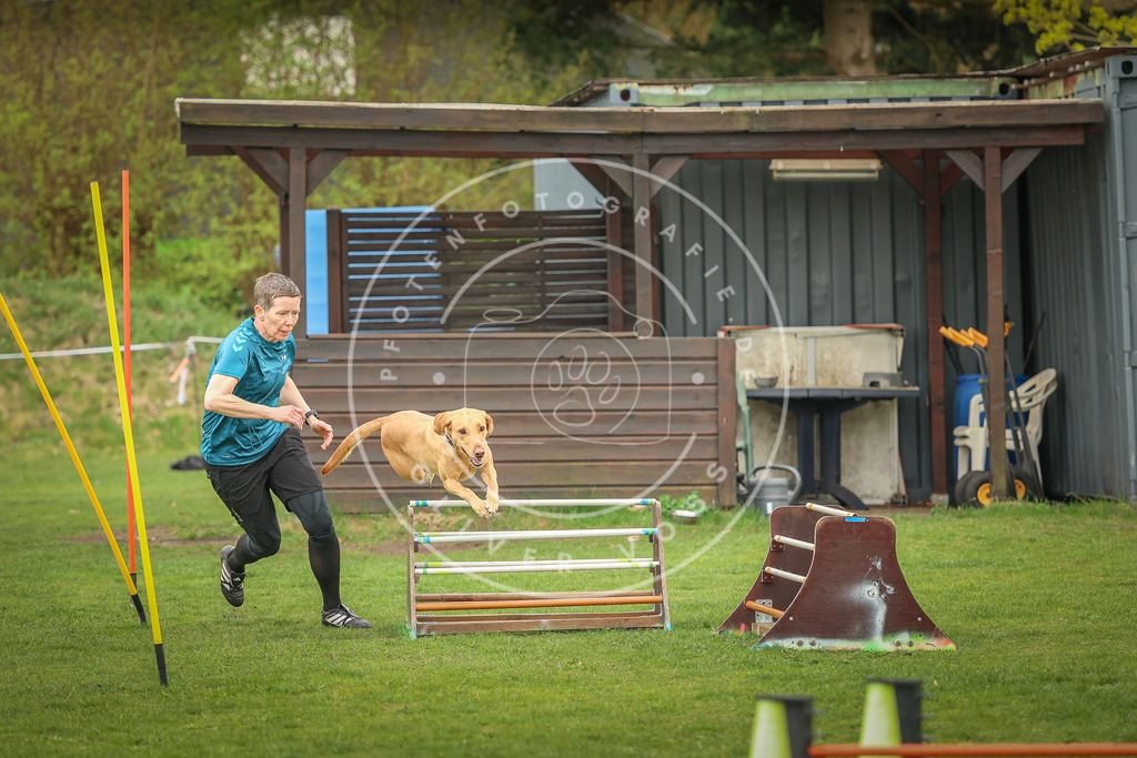 Pfotenfotografie_0L8A0546 | Hundefotografie, Tierfotograf, Pfotenfotografie, Fotoshooting Hund, Hunde Portrait, Hundesport, Hundeportraits, Heideshooting, Hunde, Sportfotograf, Hundefotograf, Turnierhundsport, THS,  - Realisiert mit Pictrs.com
