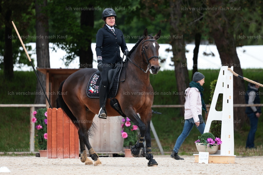 PI26_SP_StoibphotographyC2_L9451.JPG | working equitationturnier fotograf videograf stoibphotography marixx film working equitation deutschland reitsport turnierfotografie eventfotografie equestrian events