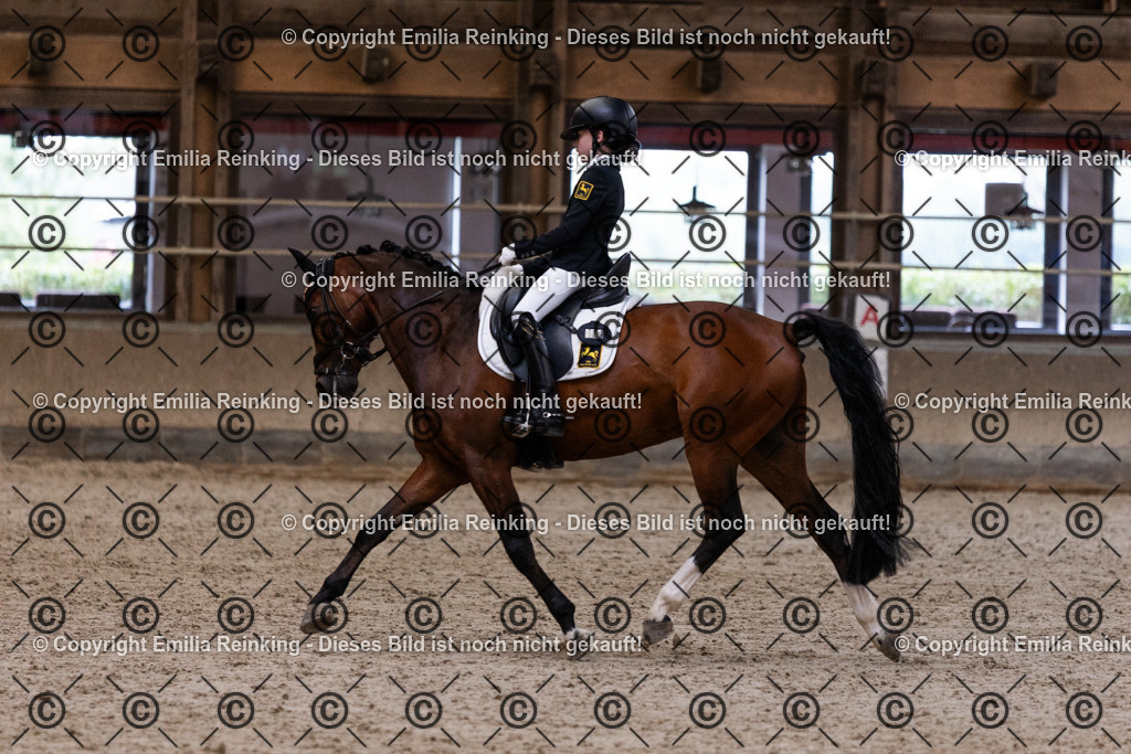 CL5A5034 | Emilia Reinking Fotografie - Realisiert mit Pictrs.com