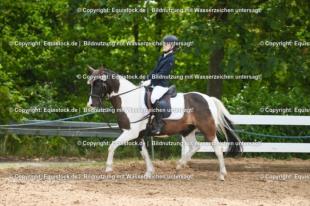 20230716_10-2_Reiter-WB Schritt - Trab - Galopp_0164 | equistock