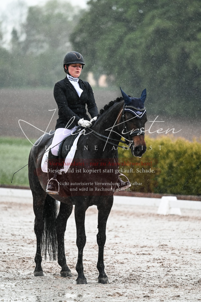 DSC_4707 | Pferde- und Turnierfotografie in Westsachsen. Pferdeportraits, Auftragszeichnungen und intuitive Kunst.