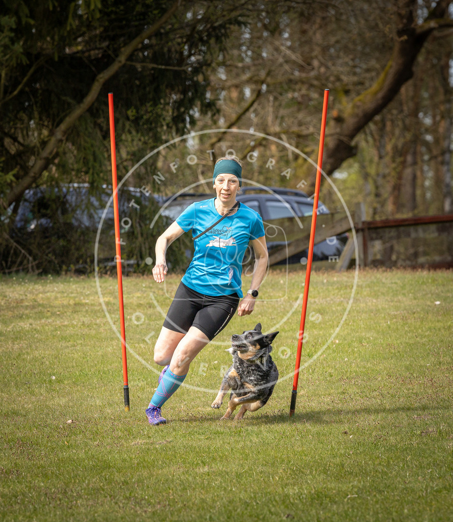 Pfotenfotografie_DV3A7564 | Hundefotografie, Tierfotograf, Pfotenfotografie, Fotoshooting Hund, Hunde Portrait, Hundesport, Hundeportraits, Heideshooting, Hunde, Sportfotograf, Hundefotograf, Turnierhundsport, THS,  - Realisiert mit Pictrs.com