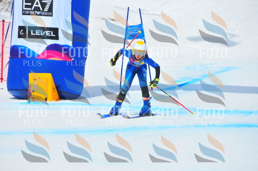 DSC_6350 | holidayphoto