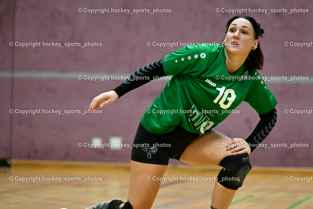 ASKÖ Volley Eagles vs. VCH Hausmannstätten 26.10.2023 | hockey sports photos, Pressefotos, Sportfotos, hockey247, win 2day icehockeyleague, Handball Austria, Floorball Austria, ÖVV, Kärntner Eishockeyverband, KEHV, KFV, Kärntner Fussballverband, Österreichischer Volleyballverband, Alps Hockey League, ÖFB, 