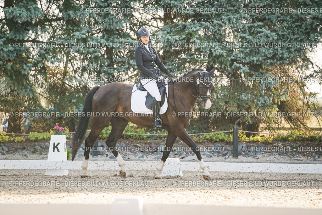 DSC07836 | Pferdegrafie