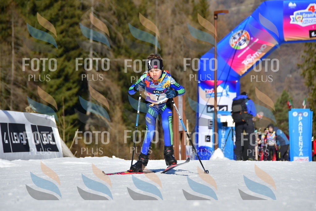 _DSC8632 | holidayphoto