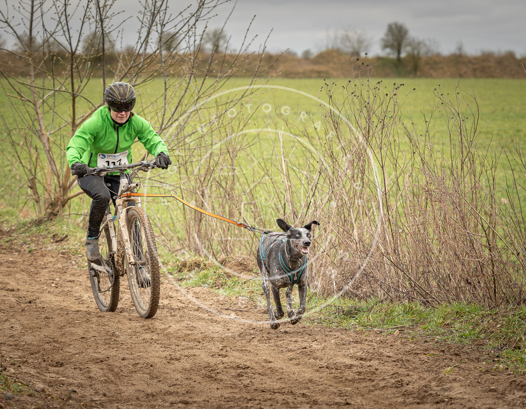 DV3A0827 | Hundefotografie, Tierfotograf, Pfotenfotografie, Fotoshooting Hund, Hunde Portrait, Hundesport, Hundeportraits, Heideshooting, Hunde, Sportfotograf, Hundefotograf, Turnierhundsport, THS,  - Realisiert mit Pictrs.com