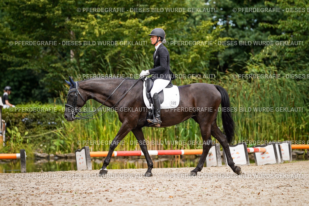 DSC03626 | Pferdegrafie