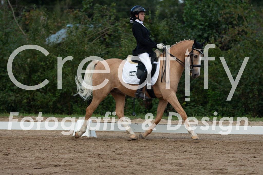 IMG_1159 | Creatify Fotografie