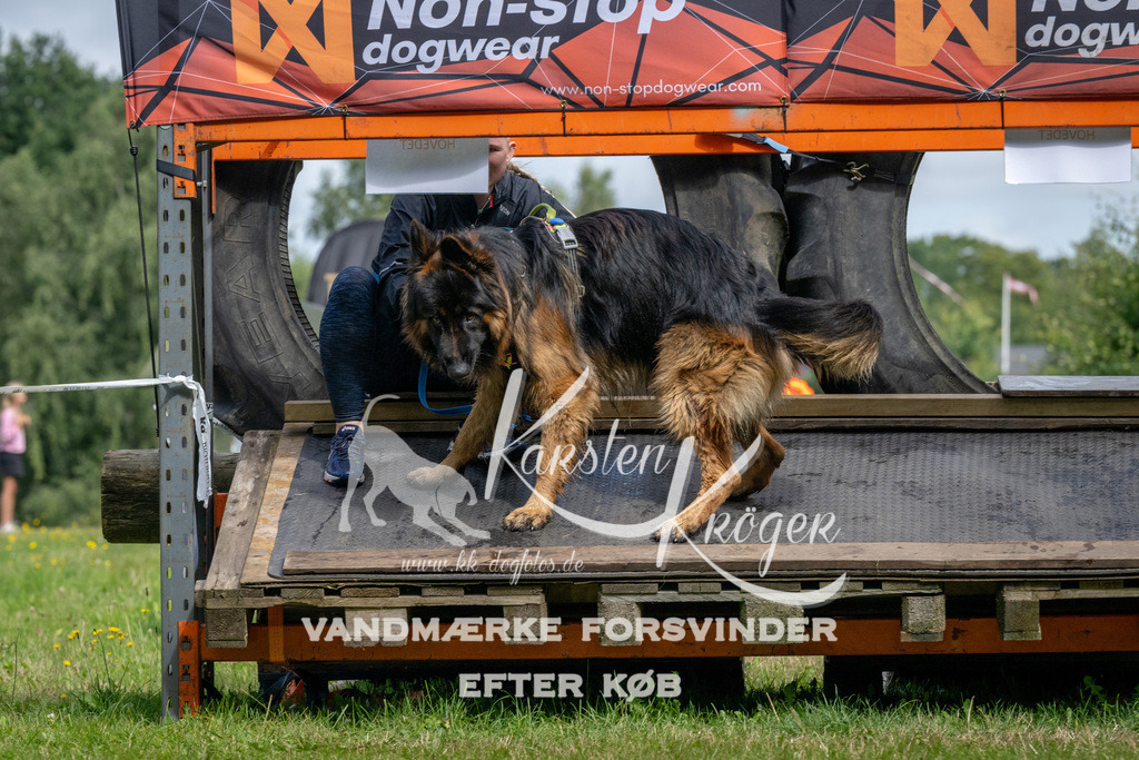 1137_ZZ92846 | kk-dogfotos