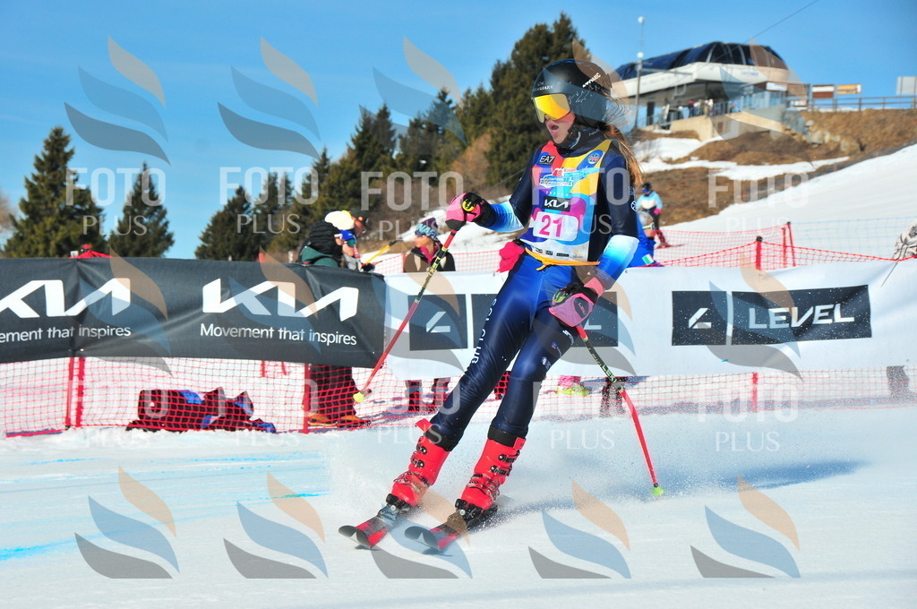 DSC_3851 | holidayphoto