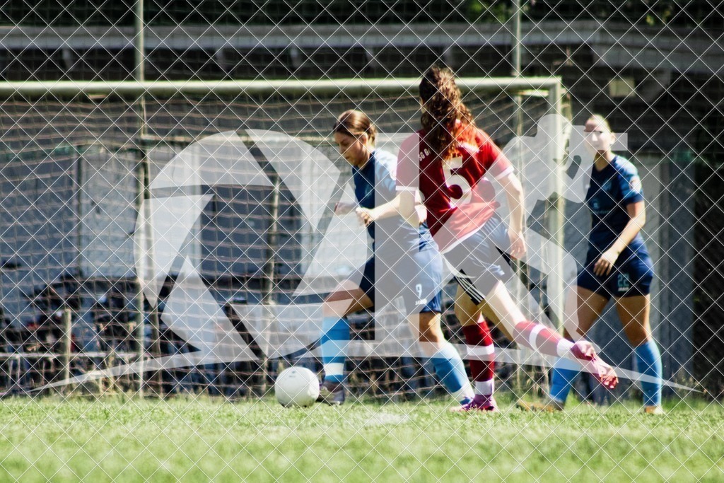 IMG_0052 | OK.Sportfotografie - Realisiert mit Pictrs.com