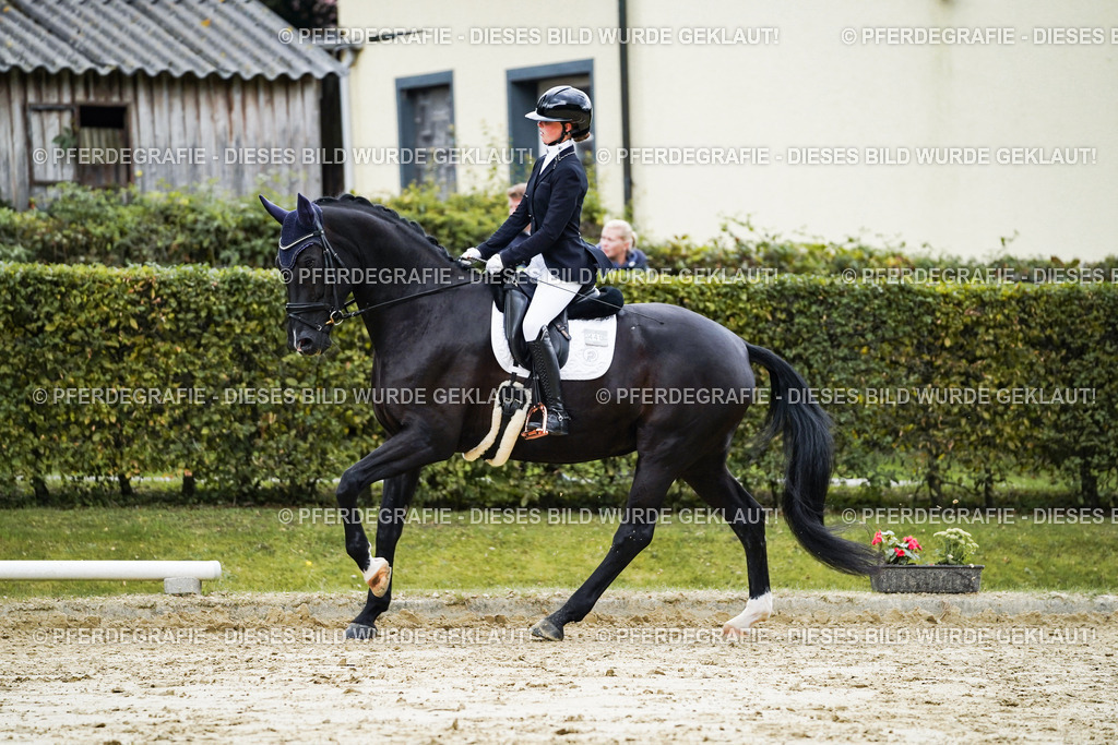 DSC06565 | Pferdegrafie