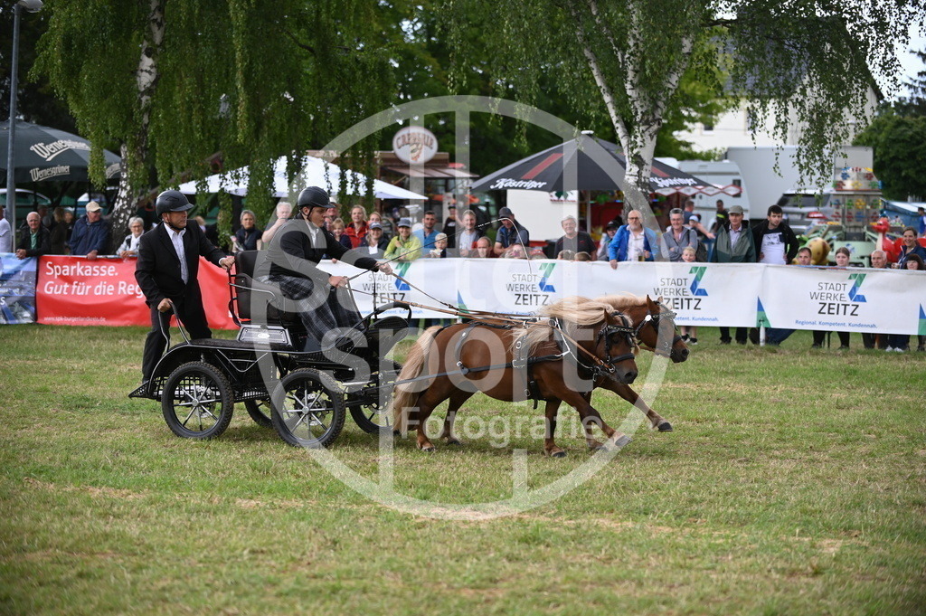 DSC_8559 | sattelsport - Realisiert mit Pictrs.com