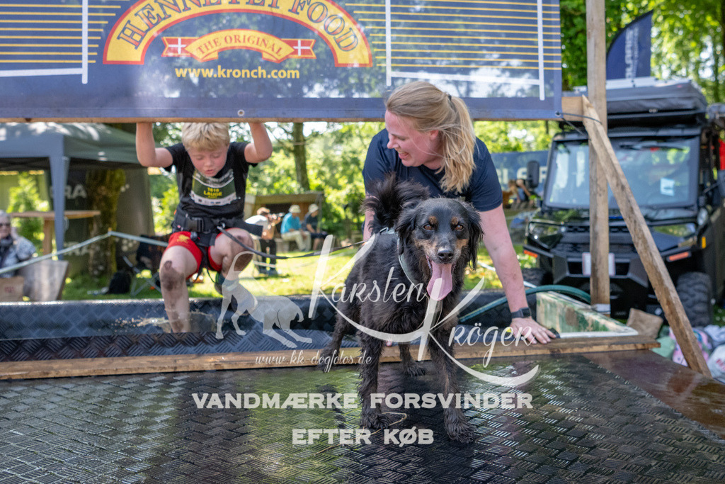 1356_ZZ92749 | kk-dogfotos