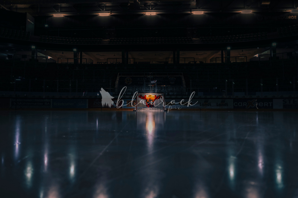 EHCB vs SCB 20260312_wb-2382-2 | Sportbilder, Sportfotograf, Hochzeits- und Eventfotografin, Flugshows, Portraits und Tiershooting, Aviation, Downhill, Nationalleague, Swissleague, International