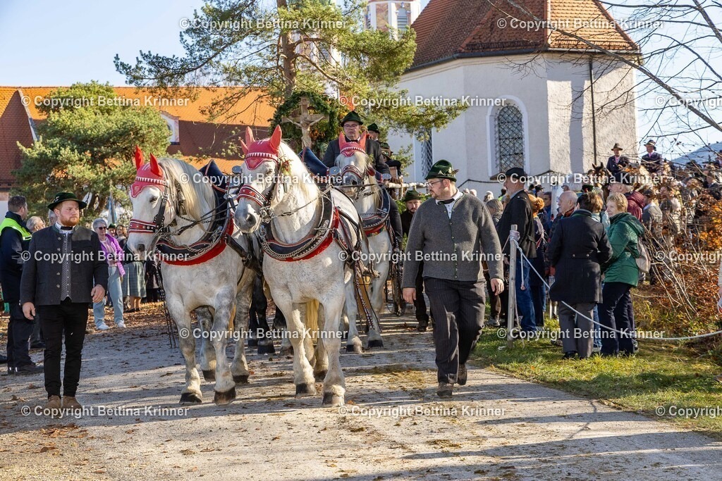 LBT25-1269 | foto-bettina-krinner - Realisiert mit Pictrs.com