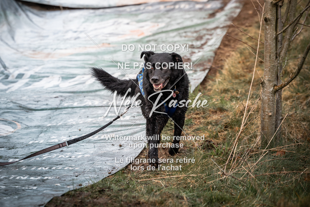 nelerasche_1000-1030_43 | nelerasche
